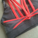 Open Back Sports Bra