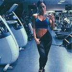 Original Hiney Trainer Thight Cut Mesh Yoga / Workout Leggings